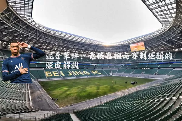 混合草坪：竞技真相与赛制逻辑的深度解构